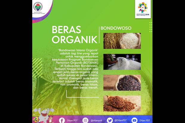 Paradiso Bondowoso
