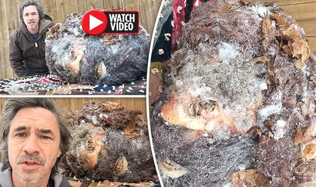 Viral! Seorang Pria Perlihatkan Kepala Diduga Bigfood