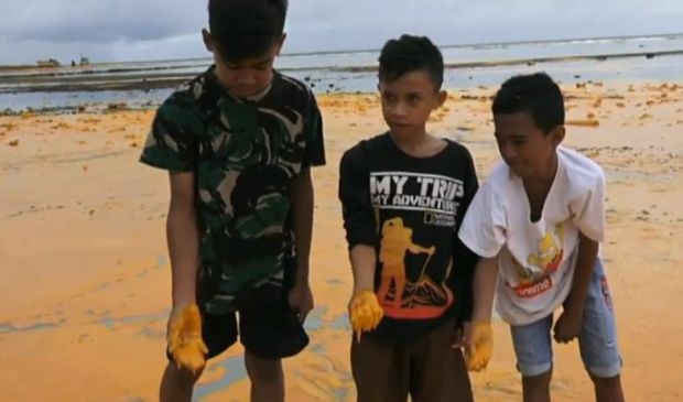 Ini Dampak Akibat Tumpahnya 400 Ton Minyak Sawit di Buton Selatan