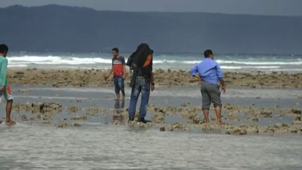 Ini Dampak Akibat Tumpahnya 400 Ton Minyak Sawit di Buton Selatan