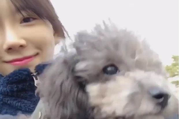 Boy William Komentari Foto Taeyeon SNSD