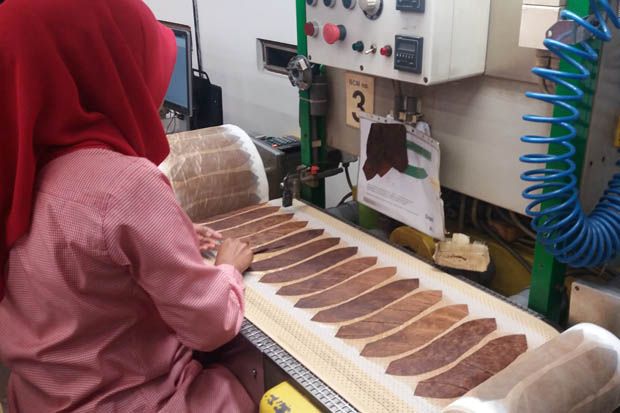 Aroma Wangi Cerutu Jember yang Melegenda