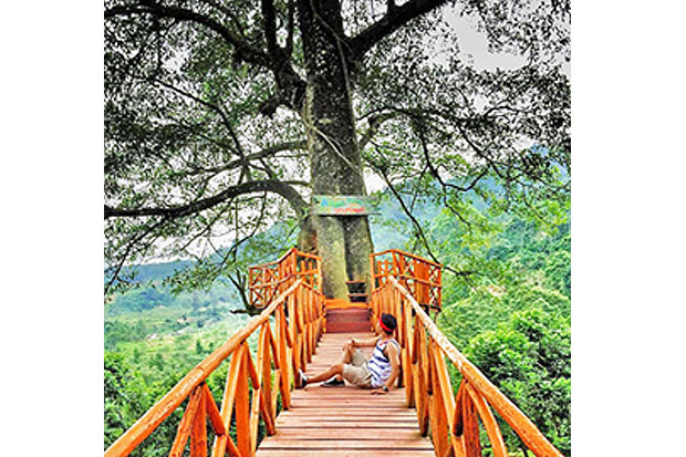 Watch Six Hidden Natural and Attractions Travel Destination Around Bogor