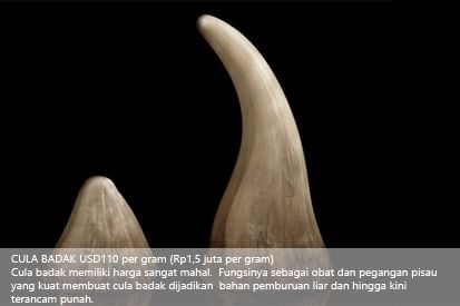 Bukan Emas, Material Termahal itu Bernama Antimateri