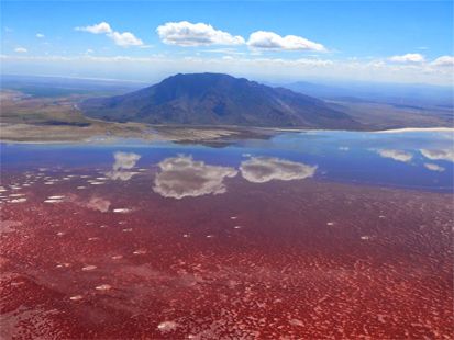 10 Kawasan Perairan Mematikan di Dunia