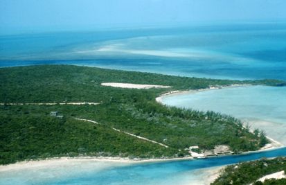 Pulau Terbesar di Dunia Ternyata Ada di Negara Ini