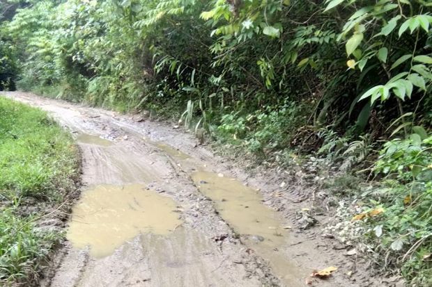 Dua Desa di Madina Terancam Terisolasi, Warga Tagih Janji Bupati