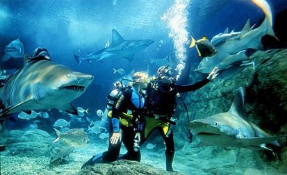 15 Tempat Liburan Ekstrem Pemacu Adrenalin