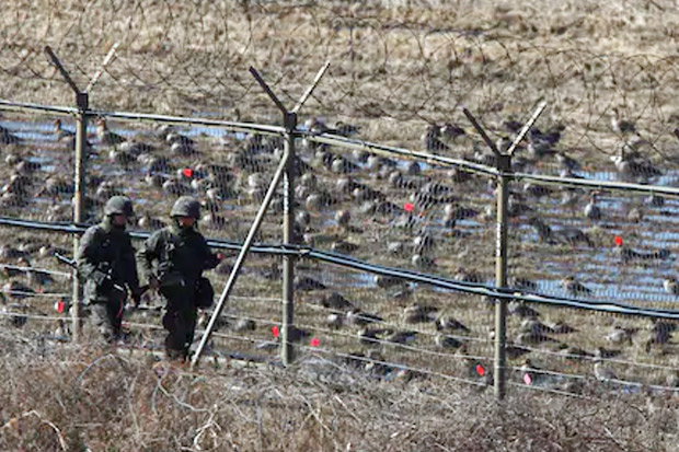 Tujuh Fakta tentang DMZ, Lokasi Pertemuan Trump-Kim Jong-un