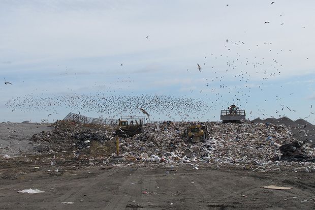 10 Negara Eksportir Sampah Plastik Terbanyak ke Indonesia