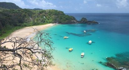 6 Spot Diving Terbaik di Dunia, Kamu Harus Mencobanya