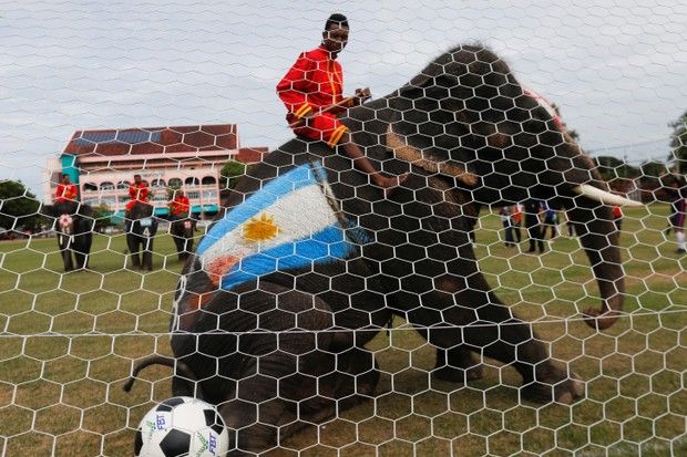 Gajah Thailand Jadi Duta Anti-Judi Piala Dunia 2018