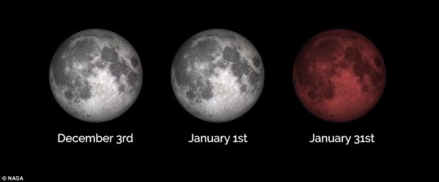 Sangat Langka, Ini Proses Terjadinya Super Blood Wolf Moon