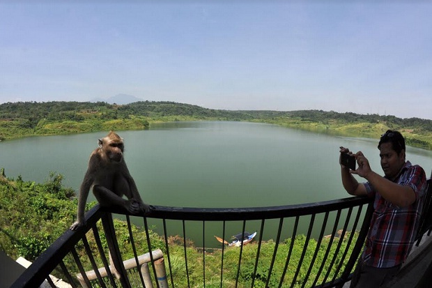 Gua Kreo, Legenda Kawanan Kera dan Tempat Petilasan Wali Songo