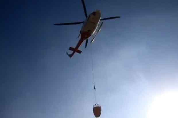 Kebakaran Gunung Ciremai Meluas, Tanaman Edelways dan Cantigi Ikut Terbakar