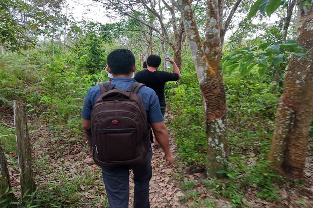 Pencarian Harimau di Kampar Belum Buahkan Hasil