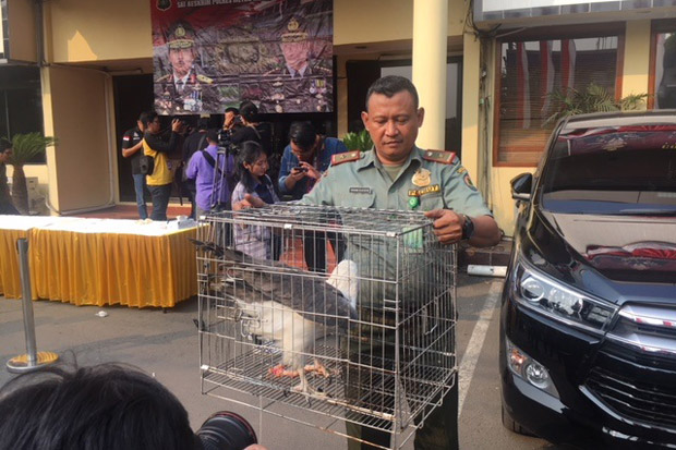 Polres Jakbar Bongkar Sindikat Jual Beli Hewan Dilindungi