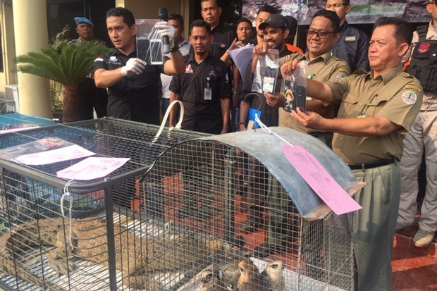 Polres Jakbar Bongkar Sindikat Jual Beli Hewan Dilindungi