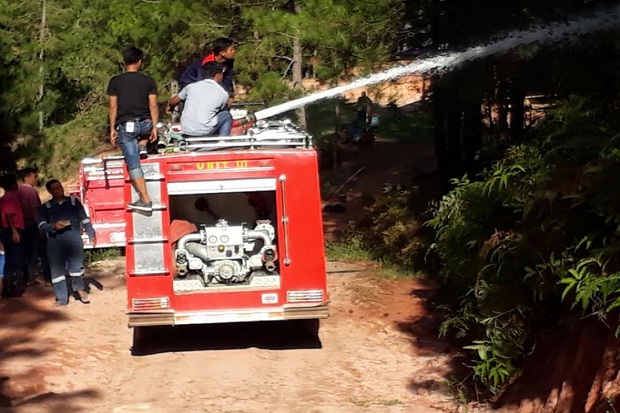 Gara-gara Puntung Rokok, 3 Hektare Hutan Pinus di Tana Toraja Ludes