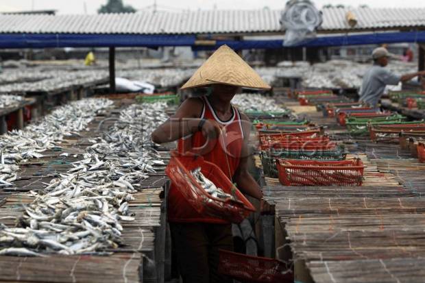 Ikan Teluk Jakarta Tak Layak Dikonsumsi, Ini Kata KPKP Jakut