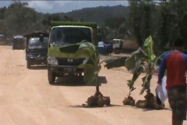 Jalan Trans Sulawesi Rusak dan Berdebu Warga Tanami Pisang