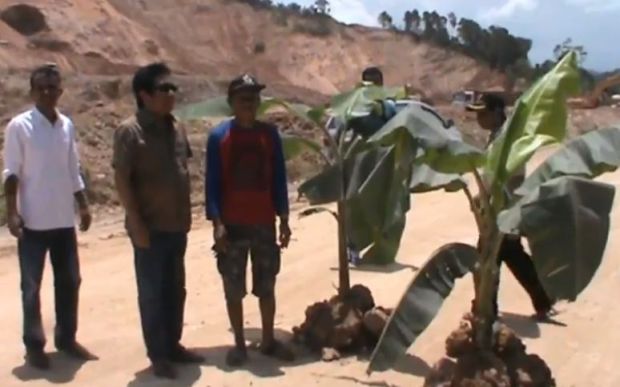Jalan Trans Sulawesi Rusak dan Berdebu Warga Tanami Pisang