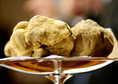 10 Makanan dan Minuman dengan Harga Selangit