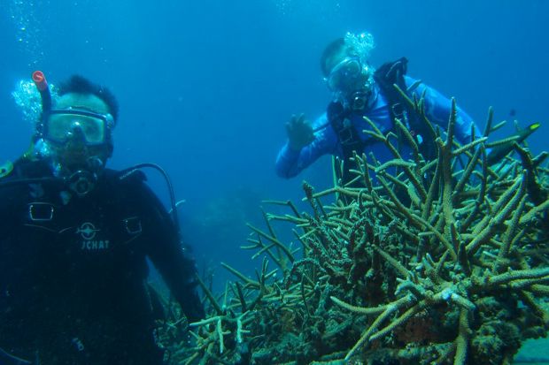 Mengenal Dekat Sosok Jenderal Terumbu Karang