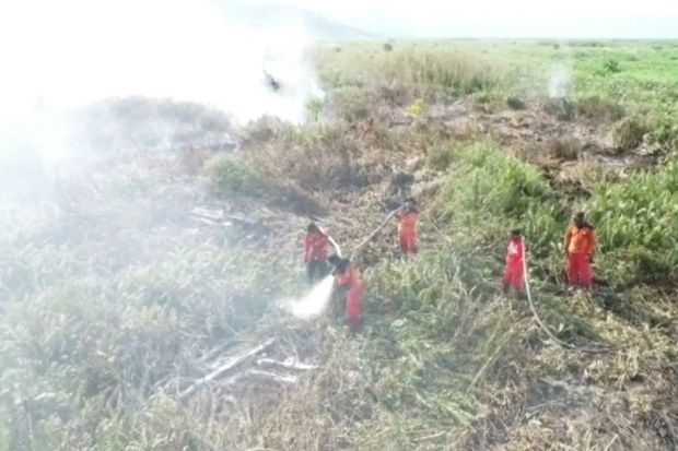 Dampak Karhutla, Kabut Tebal Selimuti Jalan Trans Sulawesi