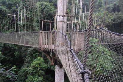 Jembatan Tali Paling Menakutkan di Dunia