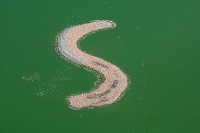 Pulau-Pulau Buatan di Dunia, Bentuknya Unik dan Memesona