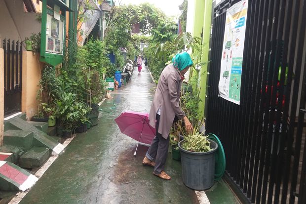 Kolaborasi Ciamik di Kampung Hijau Berseri