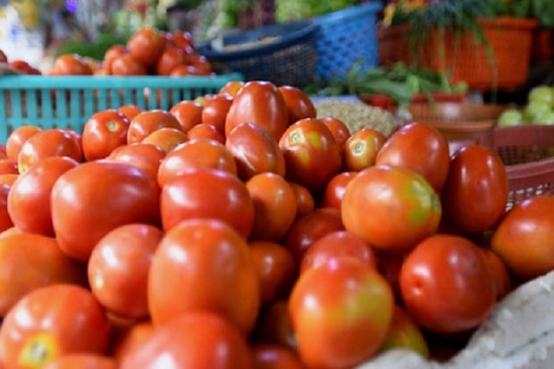 5 Paket Buah yang Baik untuk Perawatan Wajah di Musim Hujan
