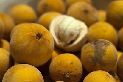 Buah Asli Indonesia Ini Nyaris Punah, Apa Saja?