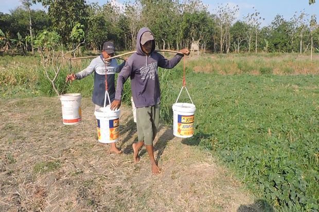 Balada Warga Blora: Kemarau Kekeringan, Musim Hujan Kebanjiran