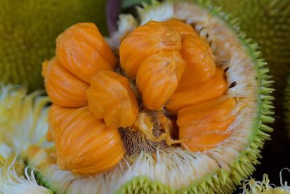 Buah Asli Indonesia Ini Nyaris Punah, Apa Saja?