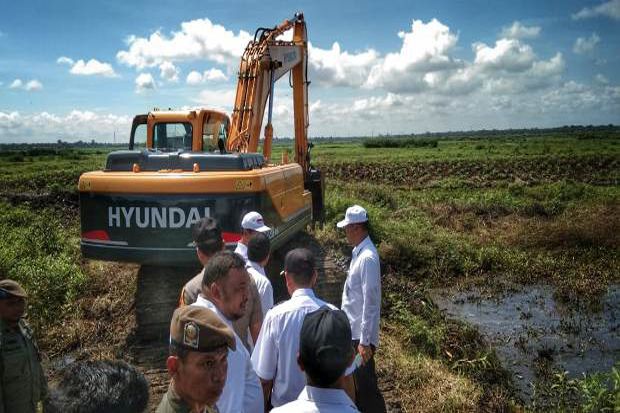 Mentan Amran Optimalisasi 45 Ribu Lahan Rawa Lebak di Wajo