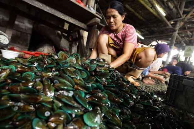 DKI Belum Terima Laporan Konsumsi Ikan dari Teluk Jakarta Terkena Kanker