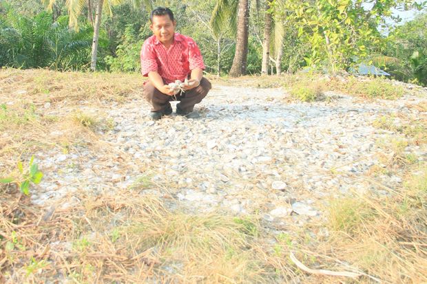 Jejak Manusia Purba di Bukit Kerang Kawal Darat