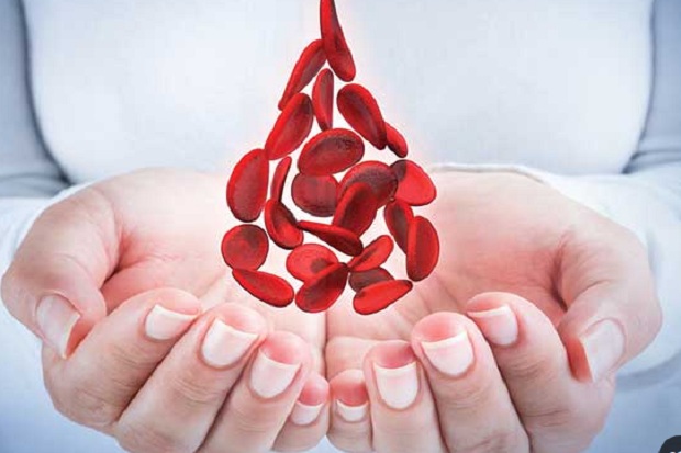 10 Fakta Tentang Anemia