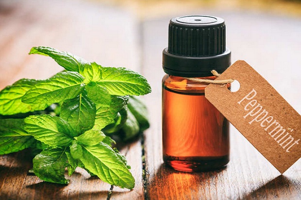 6 Aroma yang Bisa Membantu Menurunkan Berat Badan