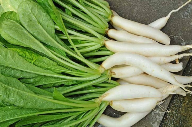 Yuk, Berkebun! 6 Sayuran Ini Mudah Tumbuh dalam 30 Hari