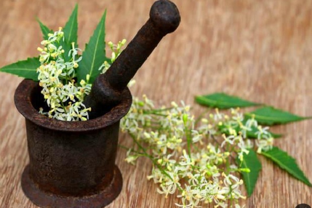 8 Langkah Obati Flu dan Demam dengan Bahan Alami