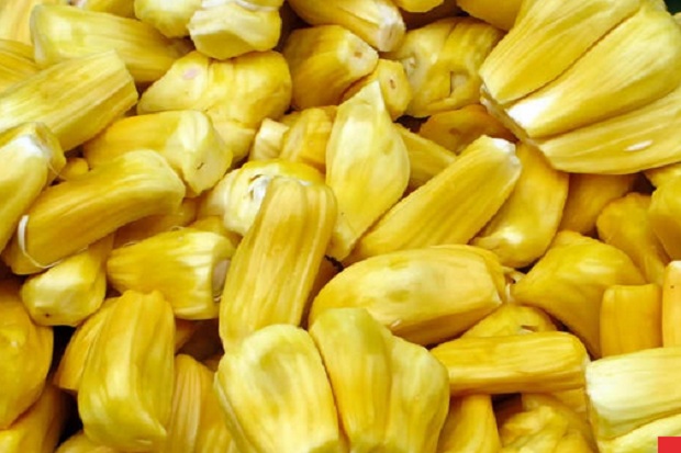Nangka Jadi Makanan Super yang Kaya Manfaat untuk Kesehatan