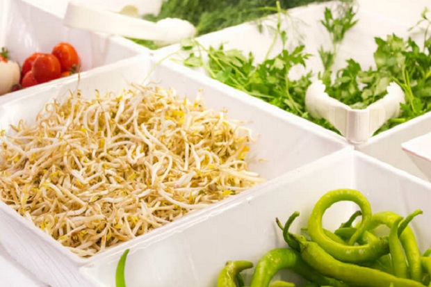 Mau Makan Prasmanan? Perhatikan 6 Hal Ini Agar Diet Terjaga