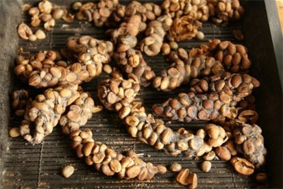 10 Makanan dan Minuman dengan Harga Selangit