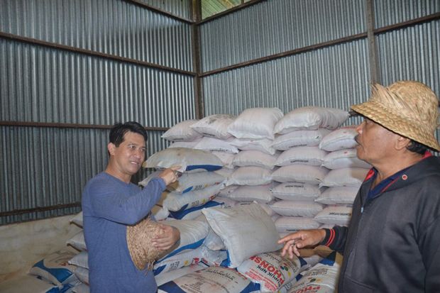 Bupati Klungkung Ajak Masyarakat Produksi Beras Lokal