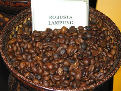 10 Kopi Terpopuler di Indonesia