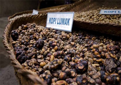 10 Kopi Terpopuler di Indonesia