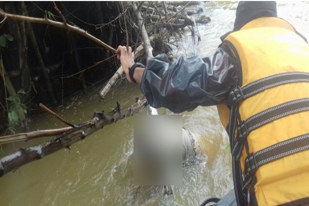 Korban Banjir Aceh Barat Ditemukan Tewas Tersangkut di Sungai